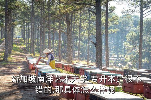  新加坡南洋藝術大學 專升本是很不錯的,那具體怎么樣呢