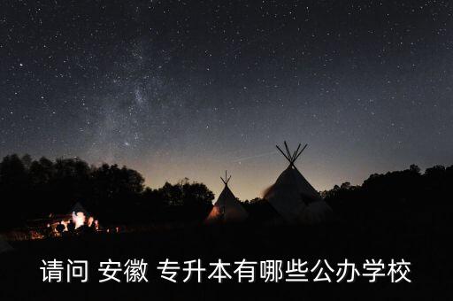 請(qǐng)問(wèn) 安徽 專升本有哪些公辦學(xué)校