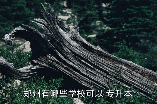 鄭州有哪些學(xué)?？梢?專升本