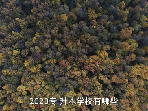 2023專 升本學校有哪些