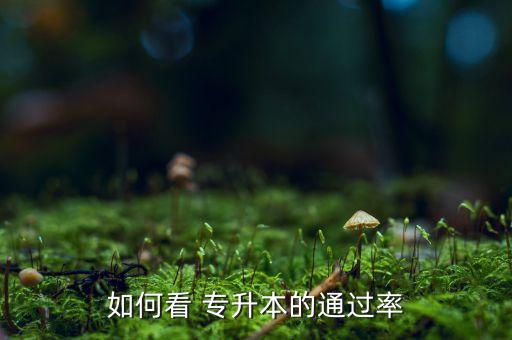 濰坊專升本考試成績(jī)查詢,2022年專升本考試成績(jī)查詢