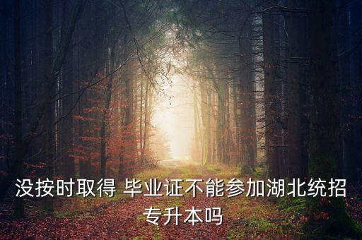 沒(méi)按時(shí)取得 畢業(yè)證不能參加湖北統(tǒng)招 專(zhuān)升本嗎
