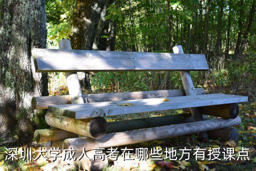 深圳大學成人高考在哪些地方有授課點