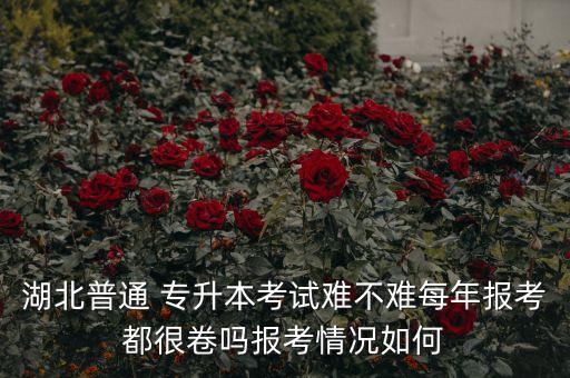 湖北普通 專升本考試難不難每年報考都很卷嗎報考情況如何