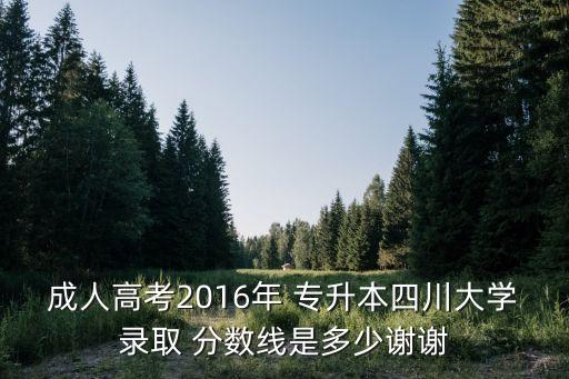 成人高考2016年 專升本四川大學錄取 分數(shù)線是多少謝謝