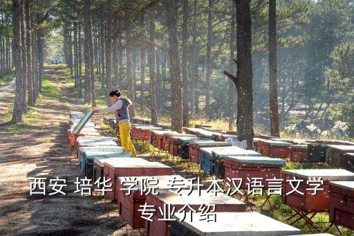 西安 培華 學(xué)院 專升本漢語言文學(xué)專業(yè)介紹