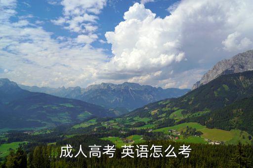 成人高考 英語怎么考