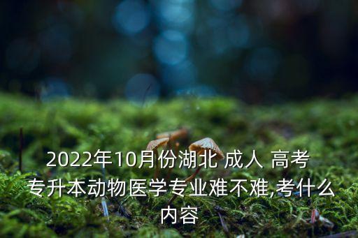 2022年10月份湖北 成人 高考 專(zhuān)升本動(dòng)物醫(yī)學(xué)專(zhuān)業(yè)難不難,考什么內(nèi)容