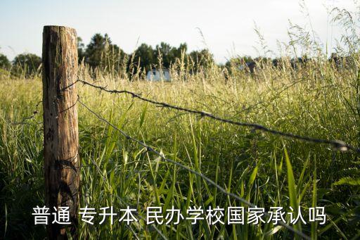 普通 專升本 民辦學(xué)校國家承認(rèn)嗎