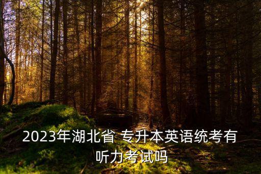 2023年湖北省 專升本英語(yǔ)統(tǒng)考有 聽(tīng)力考試嗎