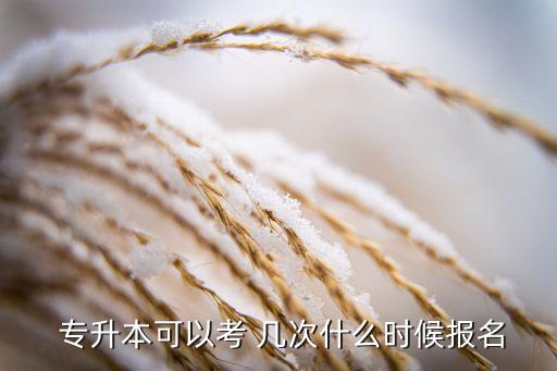 統(tǒng)招專升本幾次機會