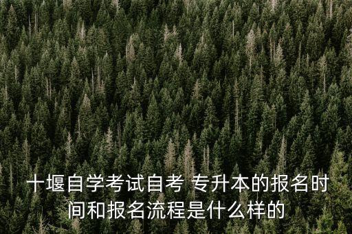  十堰自學(xué)考試自考 專升本的報名時間和報名流程是什么樣的