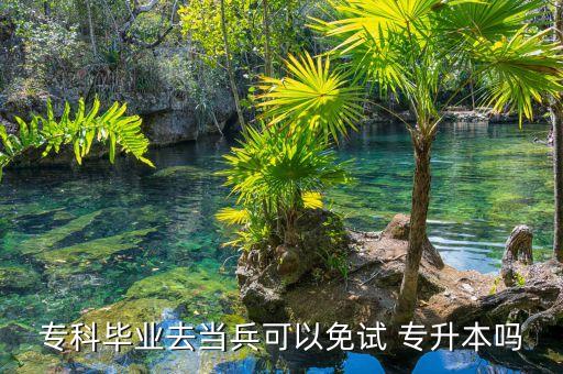 ?？飘厴I(yè)去當(dāng)兵可以免試 專升本嗎