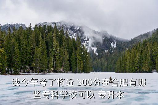 我今年考了將近 300分在合肥有哪些專科學?？梢?專升本