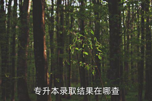 專(zhuān)升本錄取結(jié)果在哪查