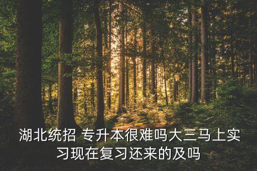  湖北統(tǒng)招 專升本很難嗎大三馬上實習現(xiàn)在復習還來的及嗎