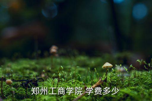 鄭州工商學(xué)院 學(xué)費多少
