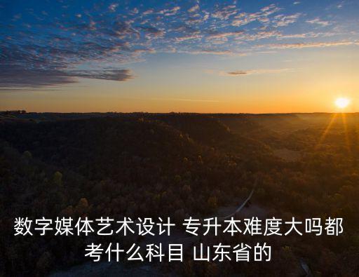 數(shù)字媒體藝術(shù)設(shè)計(jì) 專升本難度大嗎都考什么科目 山東省的