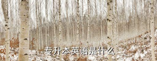  專升本英語(yǔ)是什么