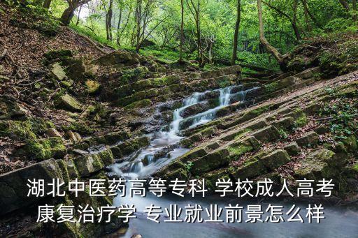  湖北中醫(yī)藥高等專科 學(xué)校成人高考 康復(fù)治療學(xué) 專業(yè)就業(yè)前景怎么樣
