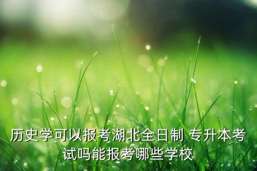 歷史學(xué)可以報考湖北全日制 專升本考試嗎能報考哪些學(xué)校