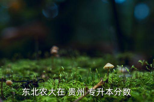 貴州專升本分數(shù)線公布