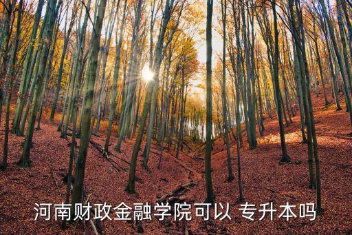 河南財(cái)政金融學(xué)院可以 專升本嗎