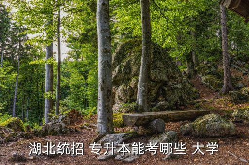 武漢哪些大學有專升本,武漢有哪些大學可以考研