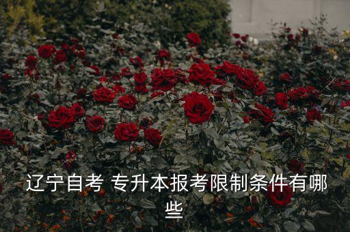  遼寧自考 專(zhuān)升本報(bào)考限制條件有哪些