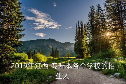2019年江西 專升本各個(gè)學(xué)校的招生人
