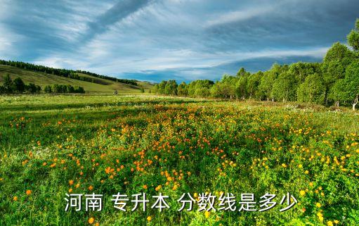  河南 專(zhuān)升本 分?jǐn)?shù)線是多少