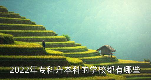 2022年?？粕究频膶W(xué)校都有哪些