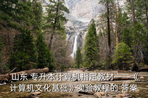  山東 專升本計(jì)算機(jī)指定教材——《計(jì)算機(jī)文化基礎(chǔ)》實(shí)驗(yàn)教程的 答案