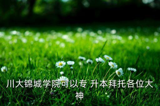 川大錦城學院可以專 升本拜托各位大神