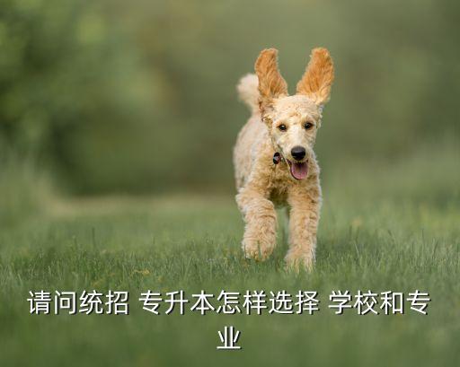 請(qǐng)問統(tǒng)招 專升本怎樣選擇 學(xué)校和專業(yè)