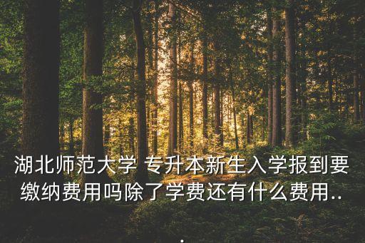 湖北師范大學(xué) 專升本新生入學(xué)報到要繳納費用嗎除了學(xué)費還有什么費用...