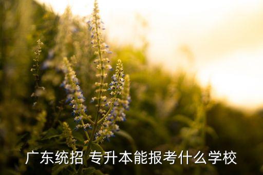 廣東統(tǒng)招 專升本能報(bào)考什么學(xué)校
