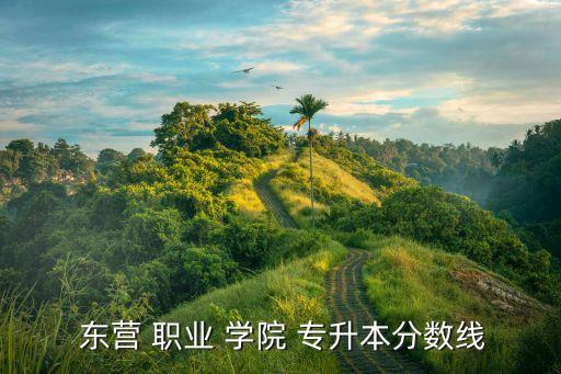 東營(yíng) 職業(yè) 學(xué)院 專(zhuān)升本分?jǐn)?shù)線