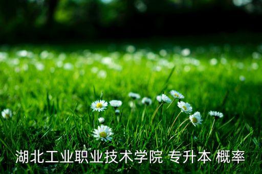 湖北工業(yè)職業(yè)技術(shù)學院 專升本 概率