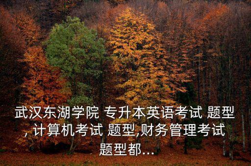 武漢東湖學(xué)院 專升本英語(yǔ)考試 題型, 計(jì)算機(jī)考試 題型,財(cái)務(wù)管理考試 題型都...