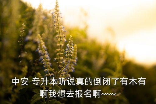  中安 專升本聽說真的倒閉了有木有啊我想去報(bào)名啊~~~