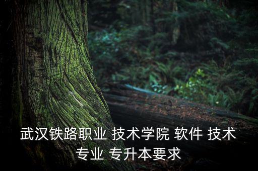 專升本軟件技術,湖南專升本軟件技術