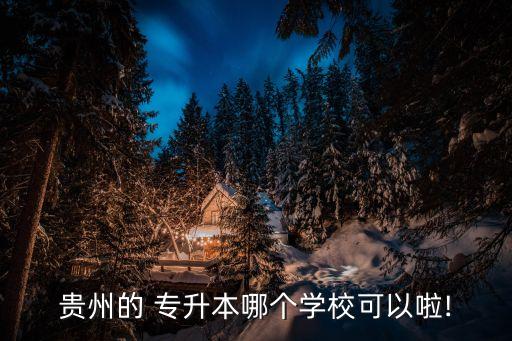 貴州的 專升本哪個學校可以啦!