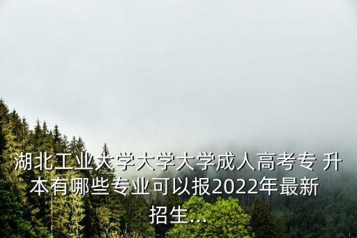 湖北工業(yè)大學(xué)大學(xué)大學(xué)成人高考專 升本有哪些專業(yè)可以報(bào)2022年最新 招生...