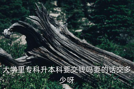 遠程教育專升本需要多少錢,鄭州大學遠程教育專升本