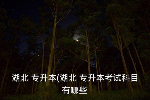 貴州會計(jì)專業(yè)專升本招生計(jì)劃,貴州師范學(xué)院專升本2022招生計(jì)劃