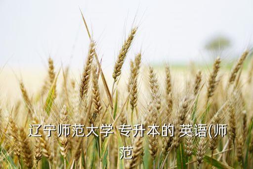 遼寧專(zhuān)升本英語(yǔ)詞匯