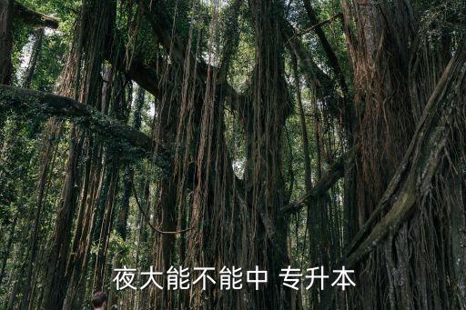 夜大護(hù)理專(zhuān)升本,夜大專(zhuān)升本有學(xué)士學(xué)位證書(shū)嗎