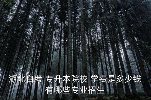 湖北自考 專升本院校 學費是多少錢有哪些專業(yè)招生