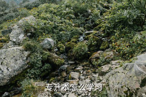  專升本怎么學習